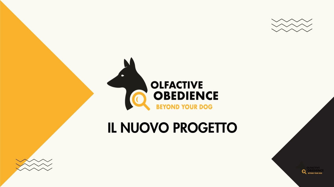 LA NUOVA VERSIONE!
