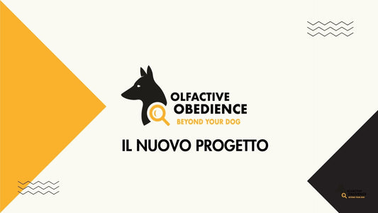 LA NUOVA VERSIONE!