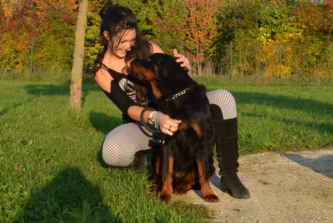 L'ADDESTRAMENTO CI RENDE MIGLIORI