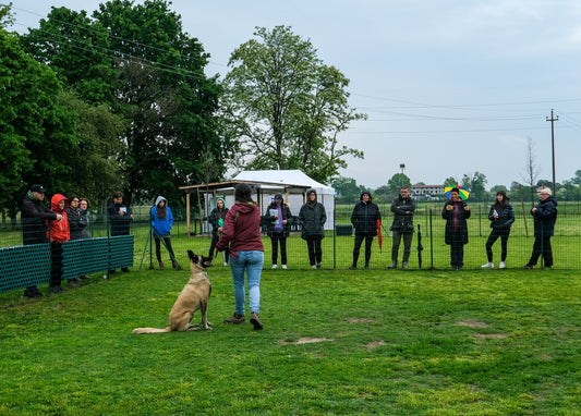 OLFACTIVE OBEDIENCE NEL CORSO ENCI AFC