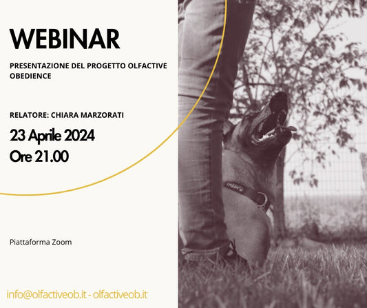 WEBINAR DI PRESENTAZIONE